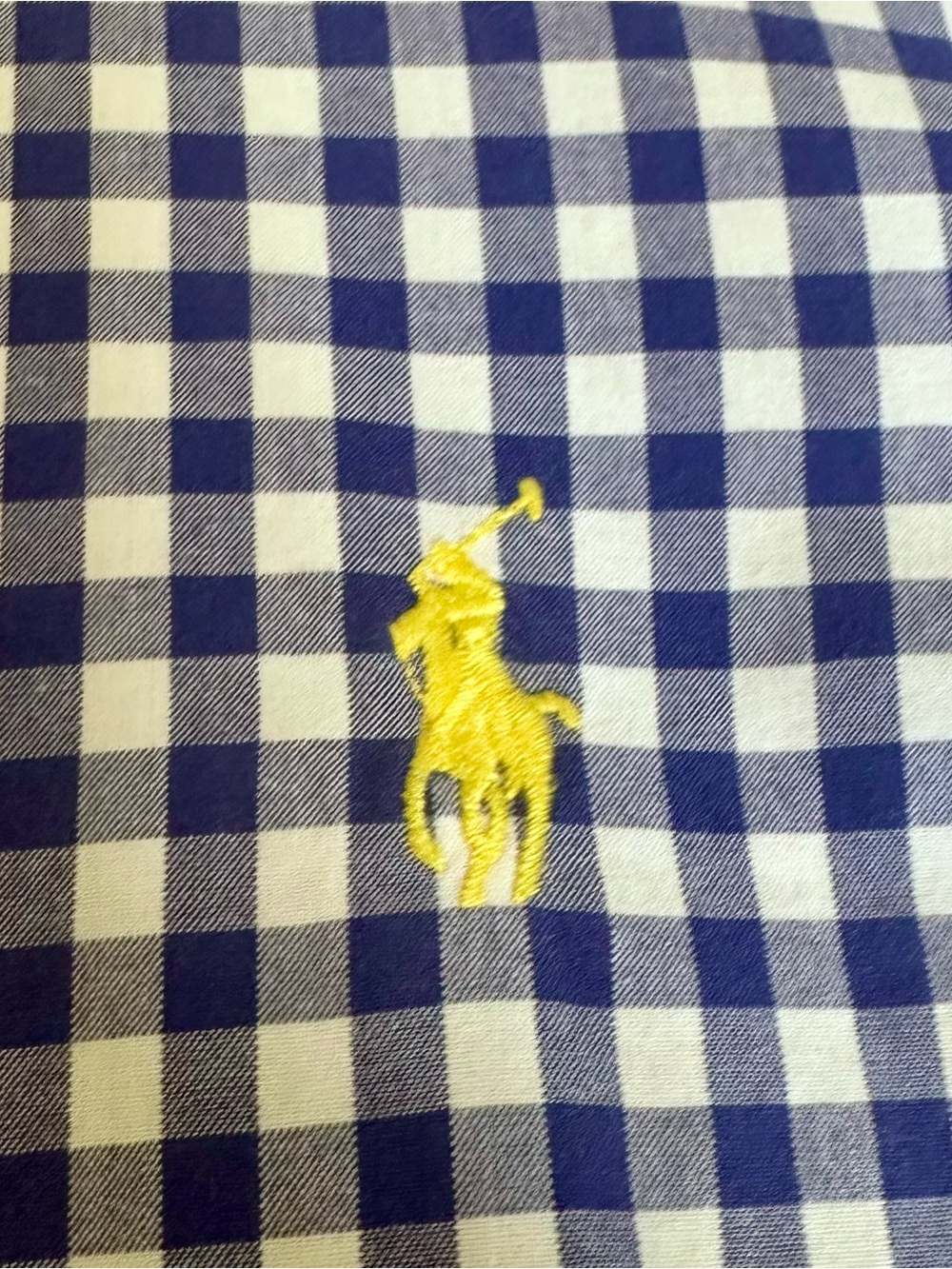Ralph Lauren Blue and White Gingham Kids Button-Down Shirt - Picture 7 of 11
